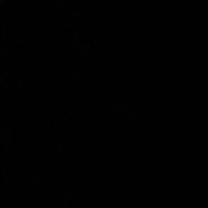 Meet your Posher, Celine